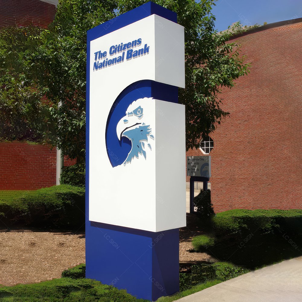 The citizens national bank